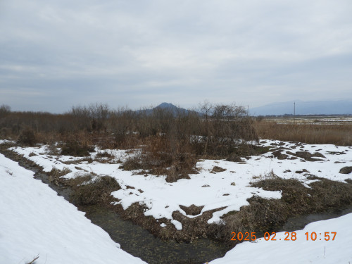 DSCN9970.JPG