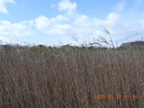 DSCN9982.JPG