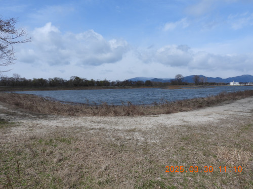 DSCN9984.JPG