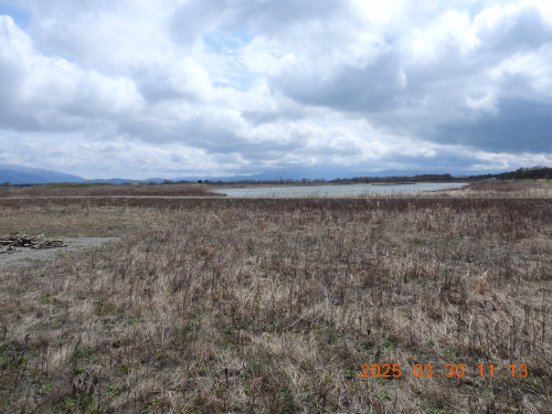 DSCN9986.JPG