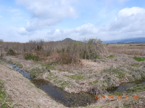 DSCN9987.JPG