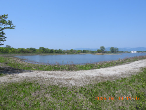 DSCN9997.JPG