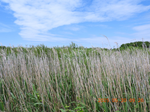 DSCN0673.JPG
