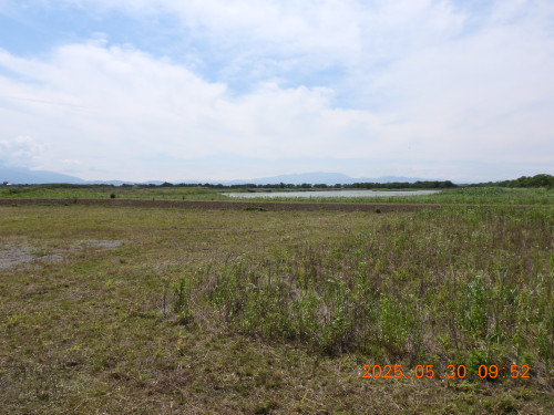 DSCN0691.JPG