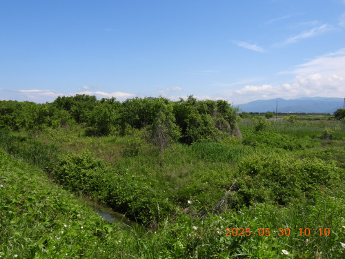 DSCN0693.JPG