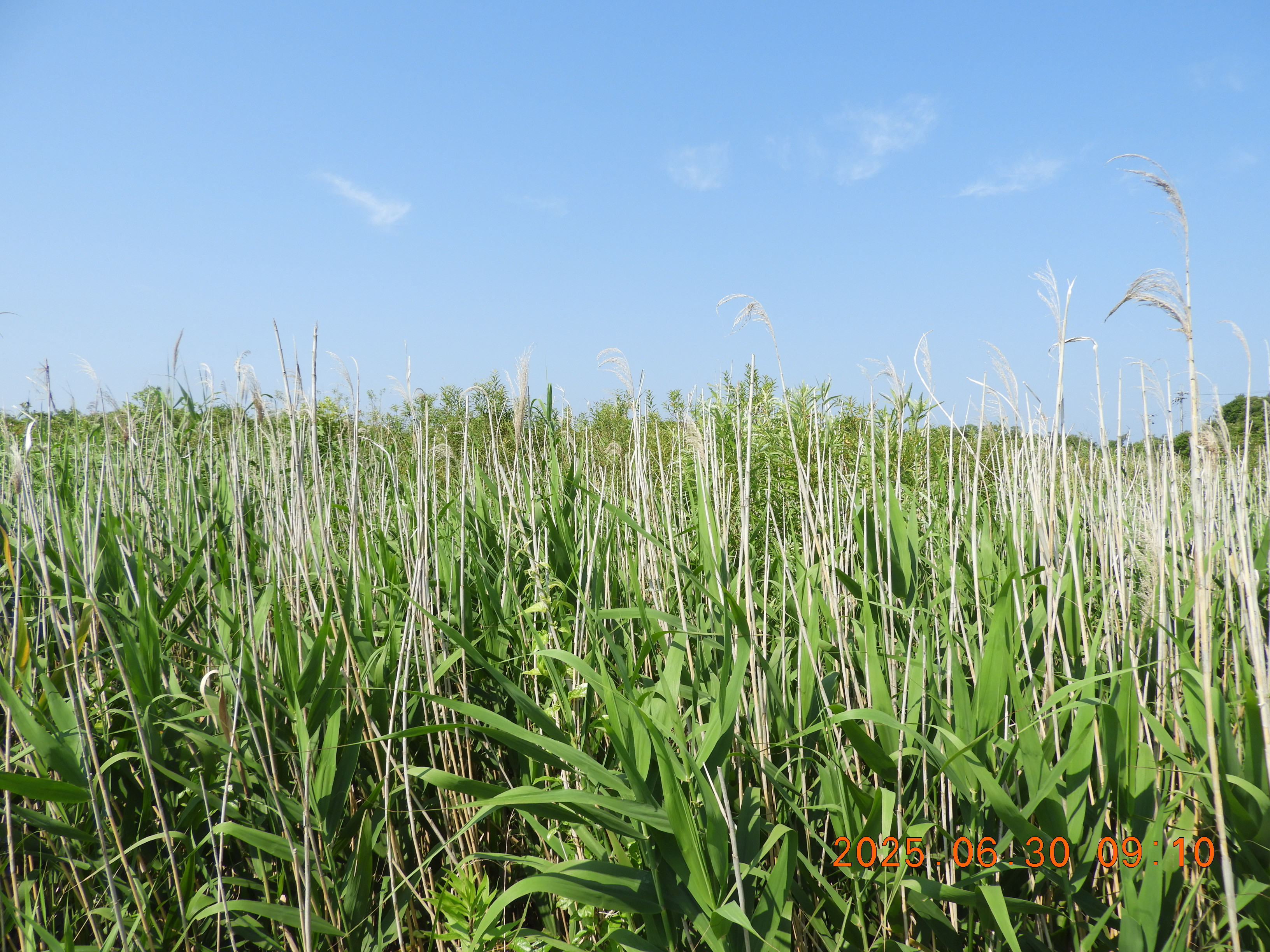 DSCN0700.JPG