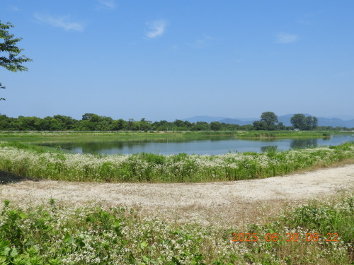 DSCN0704.JPG