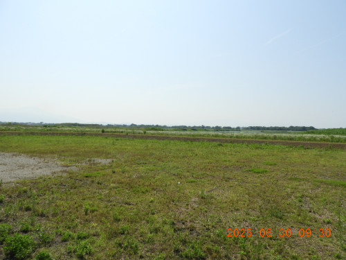 DSCN0706.JPG