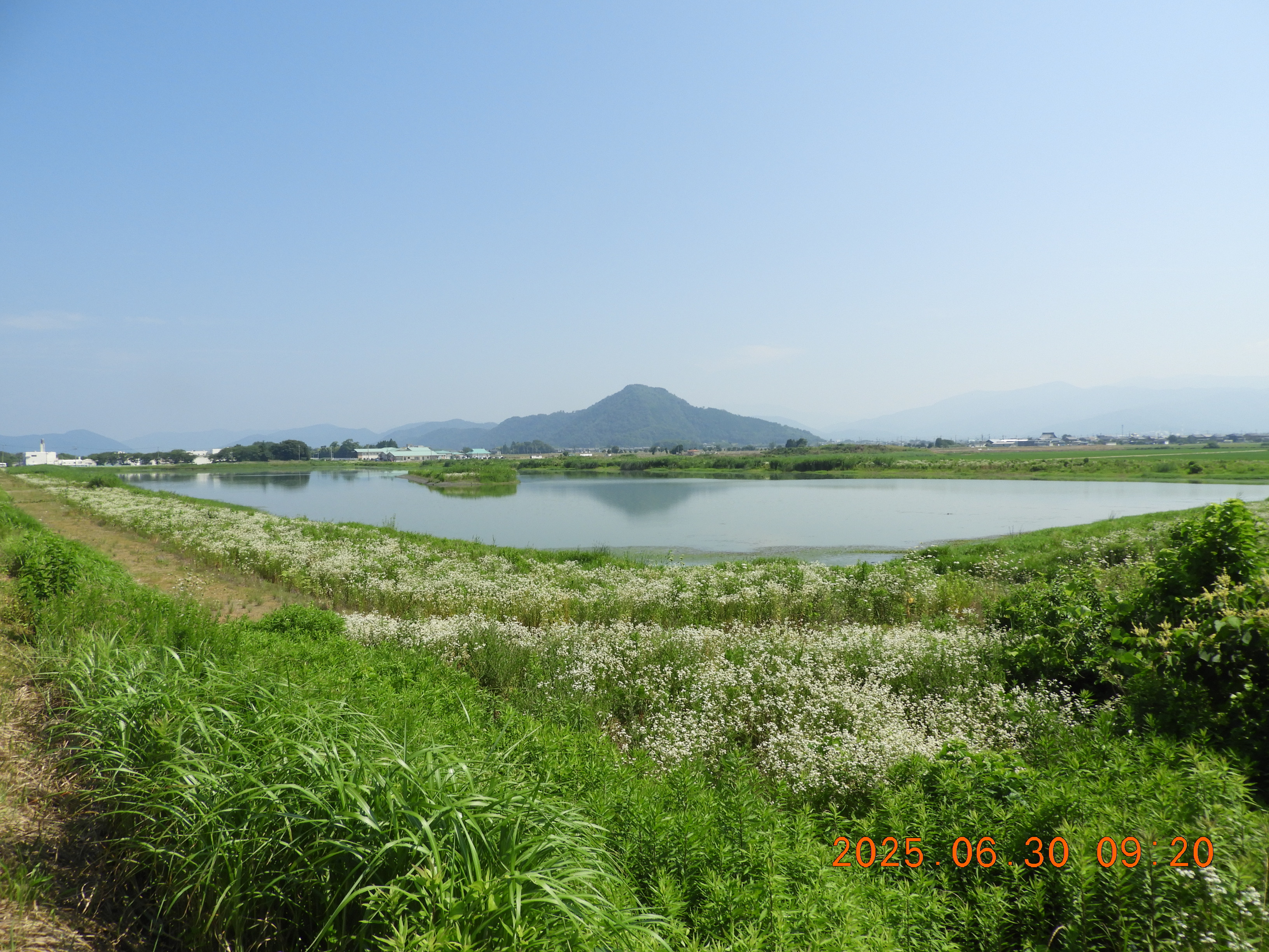 DSCN0703.JPG
