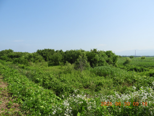 DSCN0702.JPG