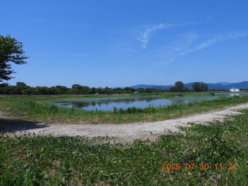 DSCN0711.JPG