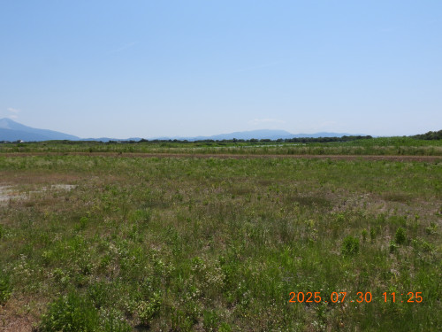 DSCN0713.JPG