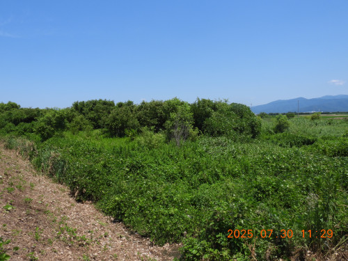 DSCN0715.JPG