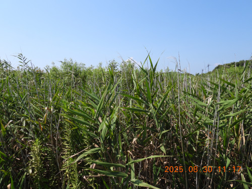 DSCN0005.JPG