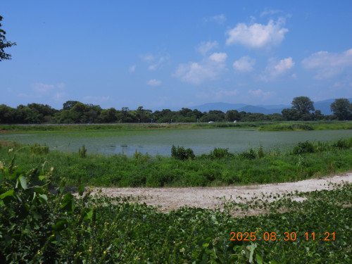 DSCN0006.JPG