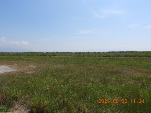 DSCN0008.JPG