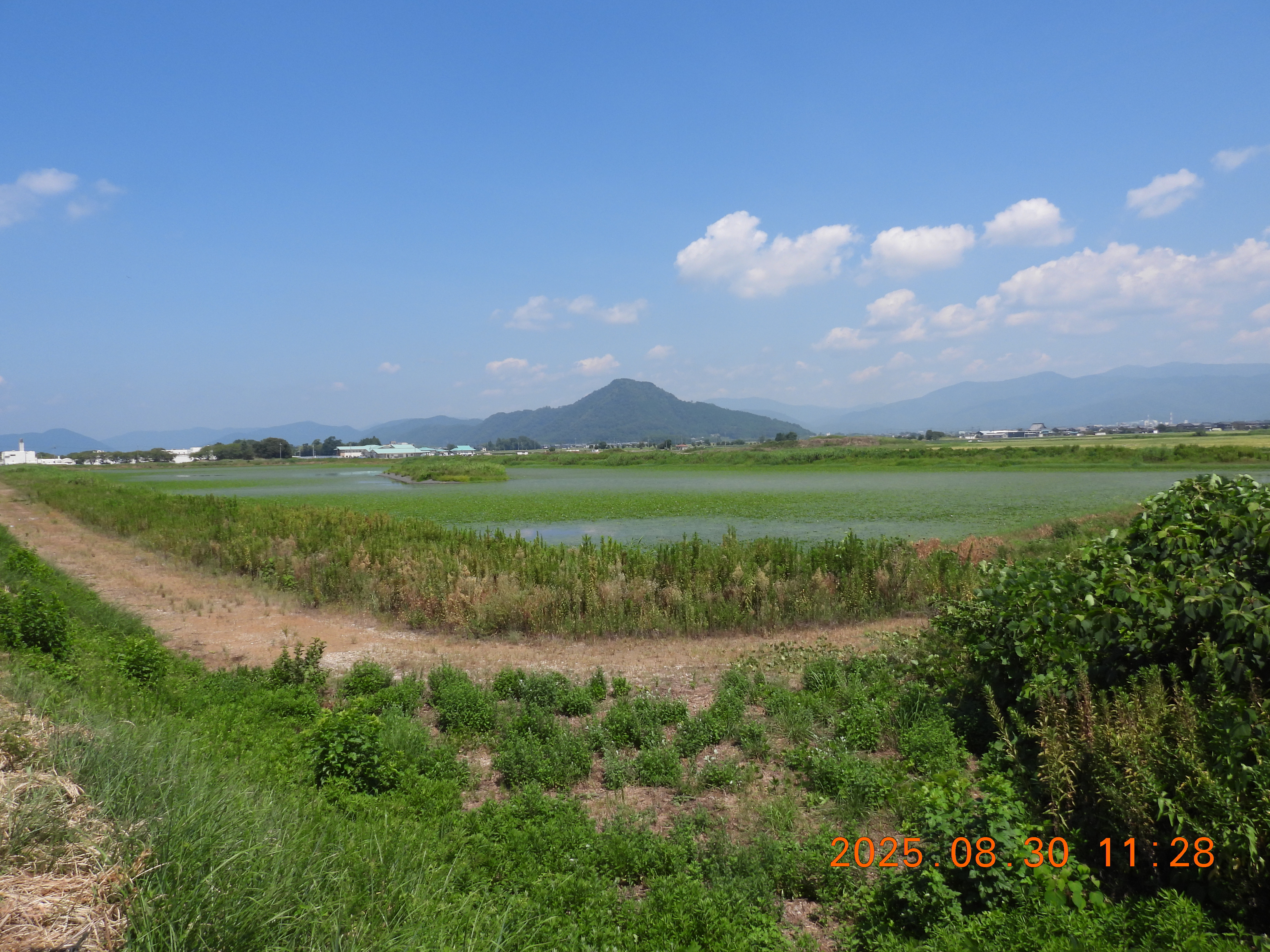 DSCN0009.JPG