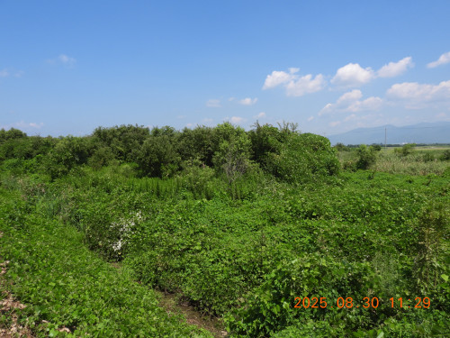 DSCN0010.JPG