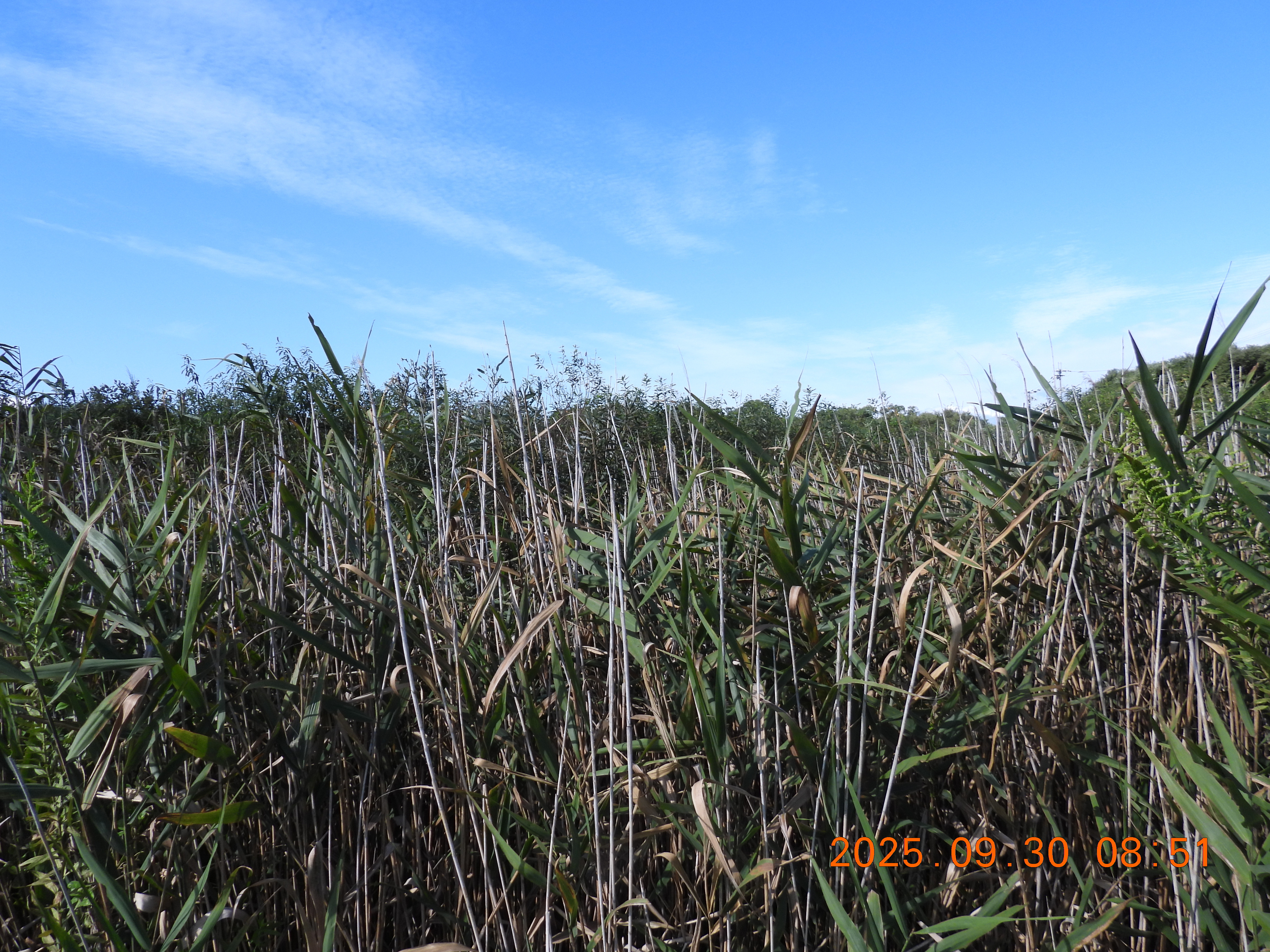 DSCN0194.JPG