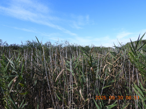 DSCN0194.JPG