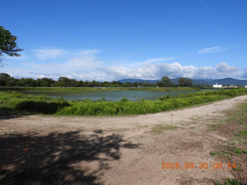 DSCN0196.JPG
