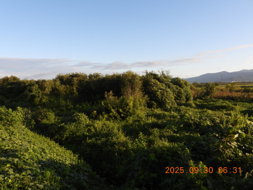DSCN0192.JPG