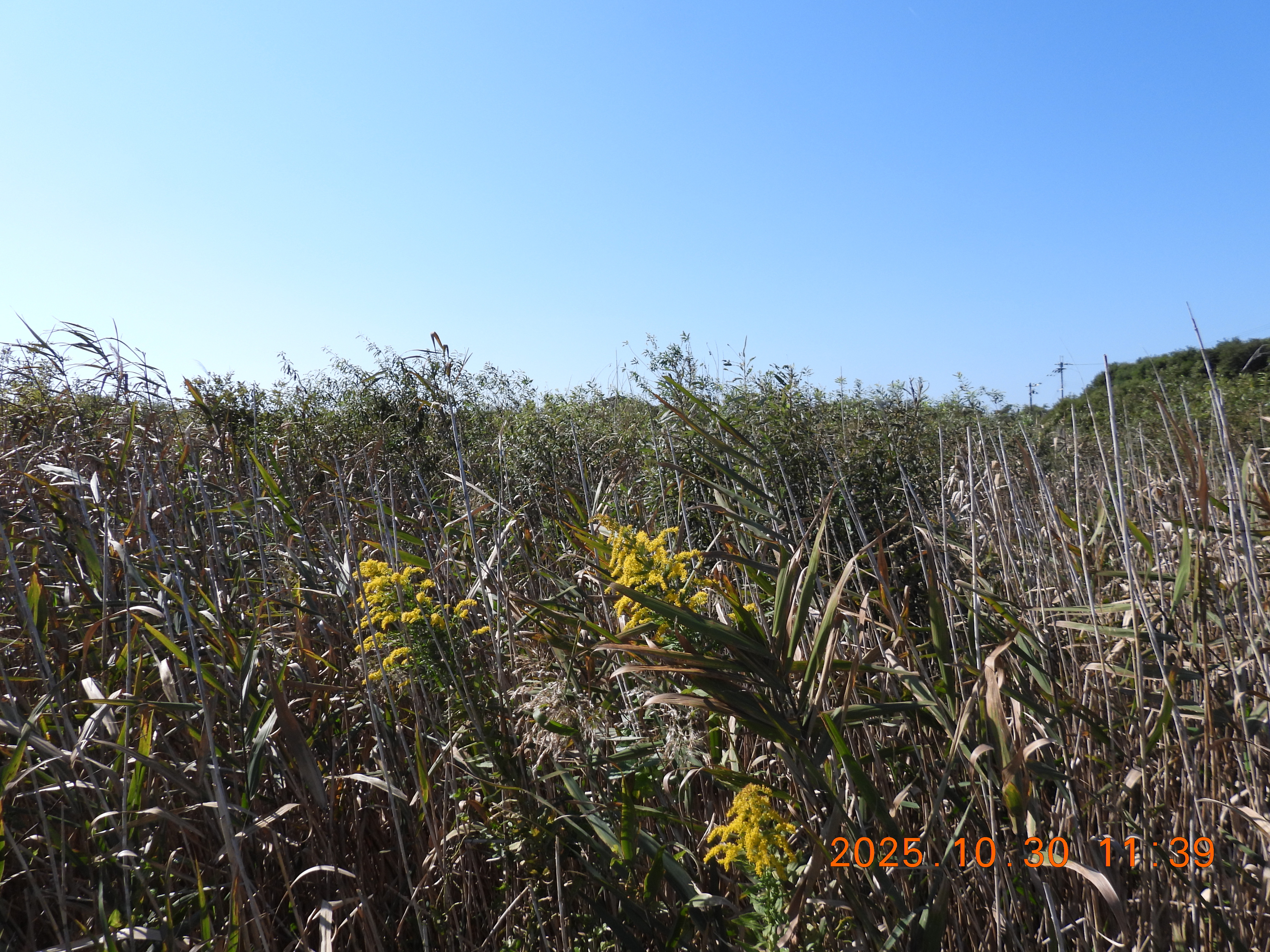 DSCN0697.JPG
