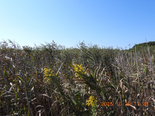 DSCN0697.JPG