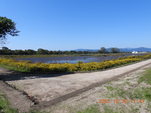DSCN0698.JPG