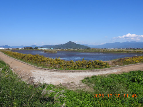 DSCN0700.JPG