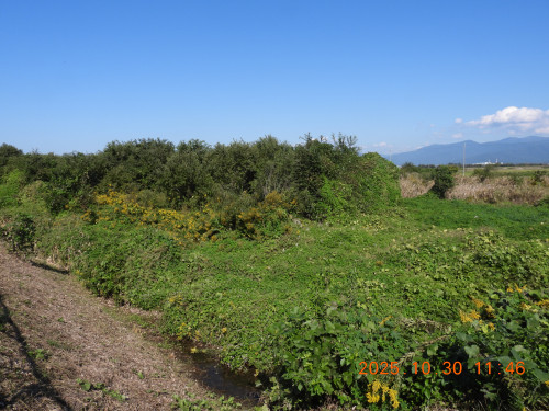 DSCN0701.JPG