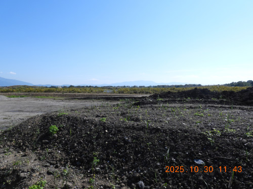 DSCN0699.JPG