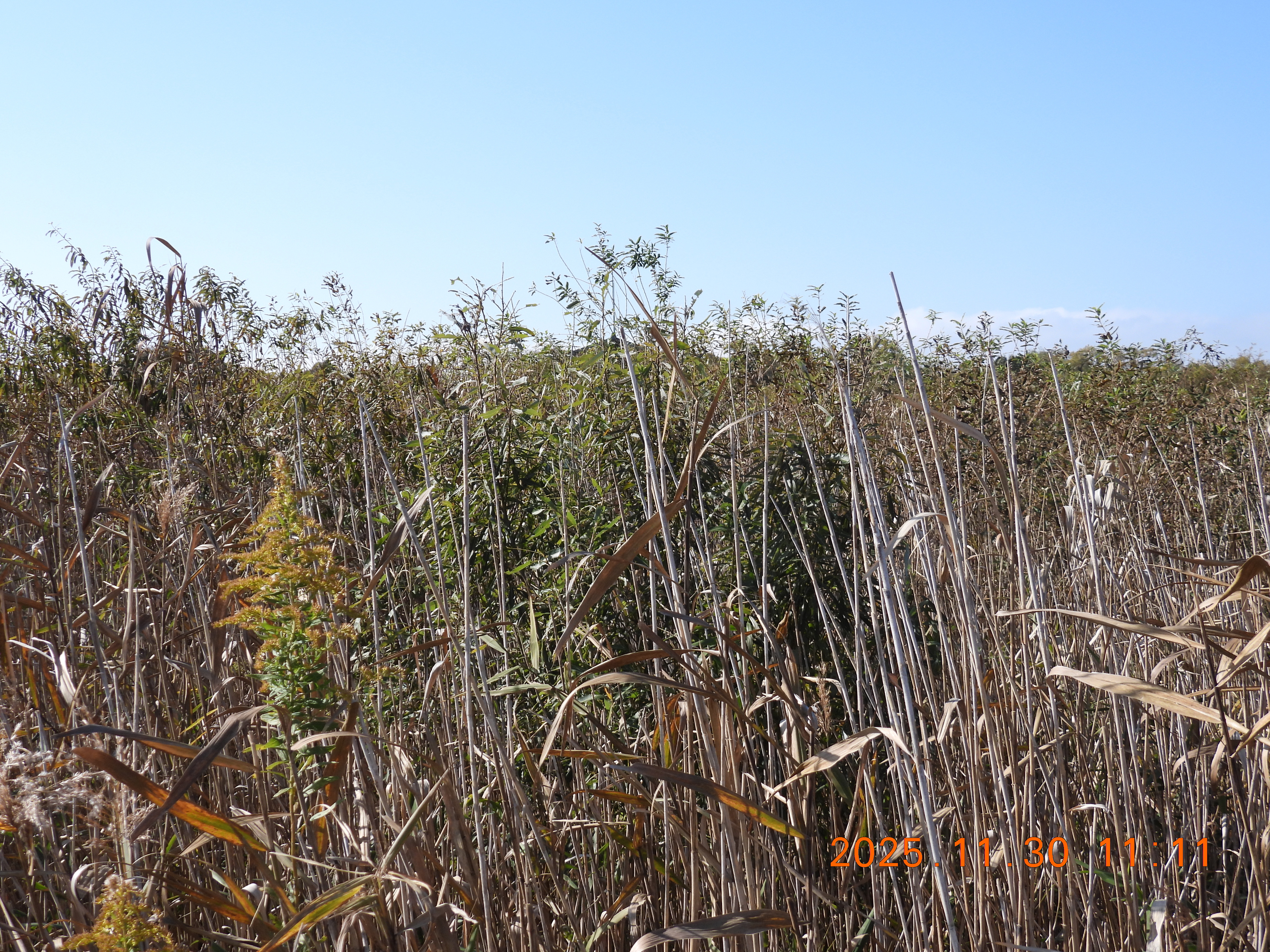 DSCN1029.JPG