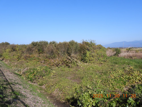 DSCN1037.JPG
