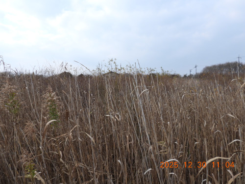 DSCN1391.JPG