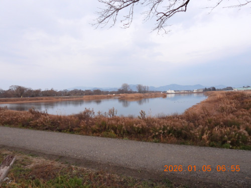 2026/1/5（月）曇り　撮影　今日のビオトープ