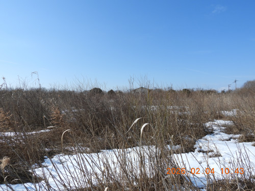 DSCN2038.JPG