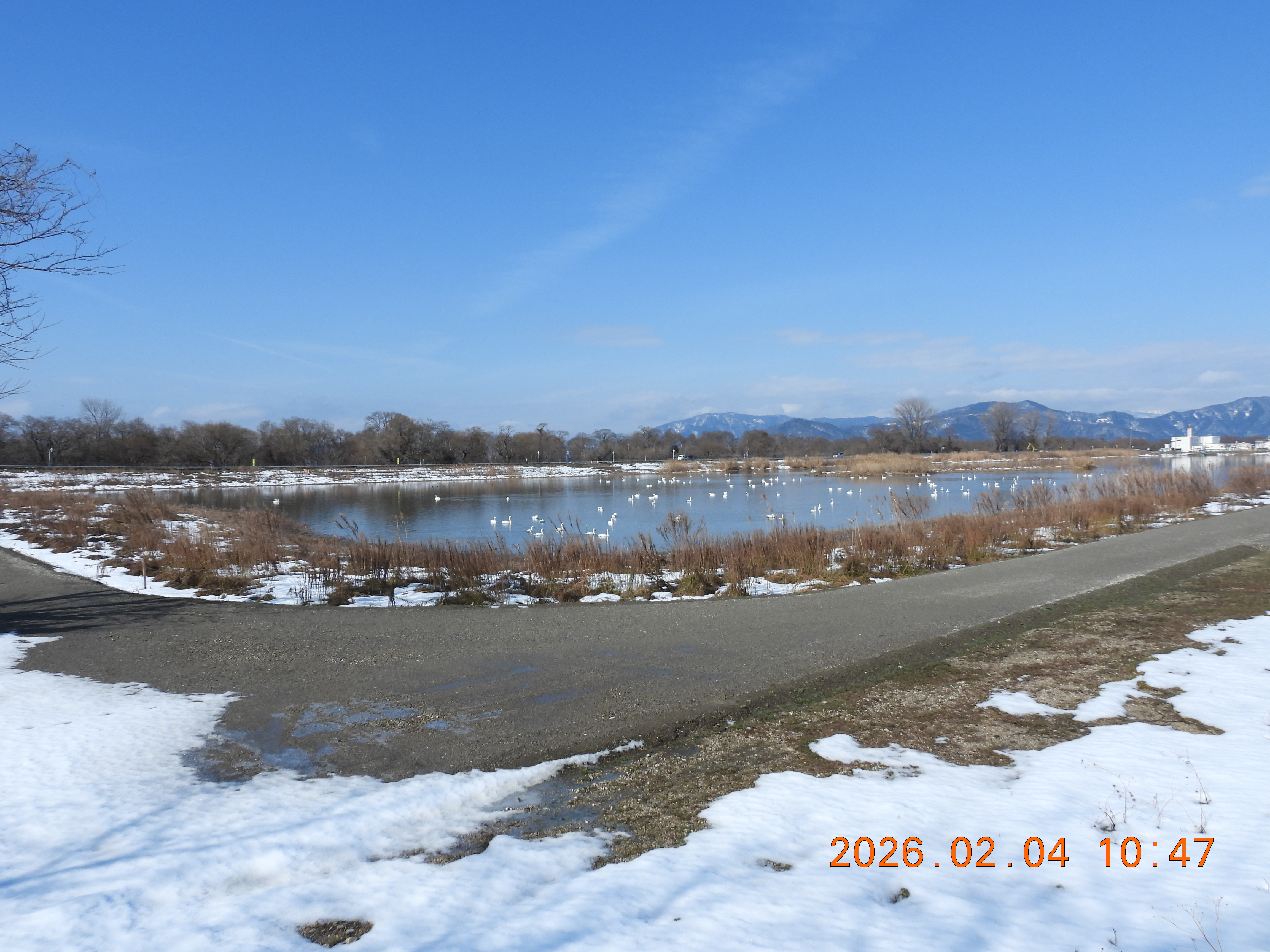 DSCN2040.JPG
