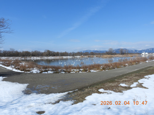 DSCN2040.JPG