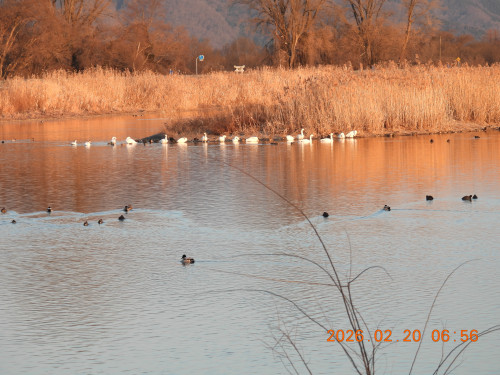 DSCN2211.JPG
