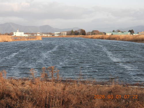 DSCN2516.JPG