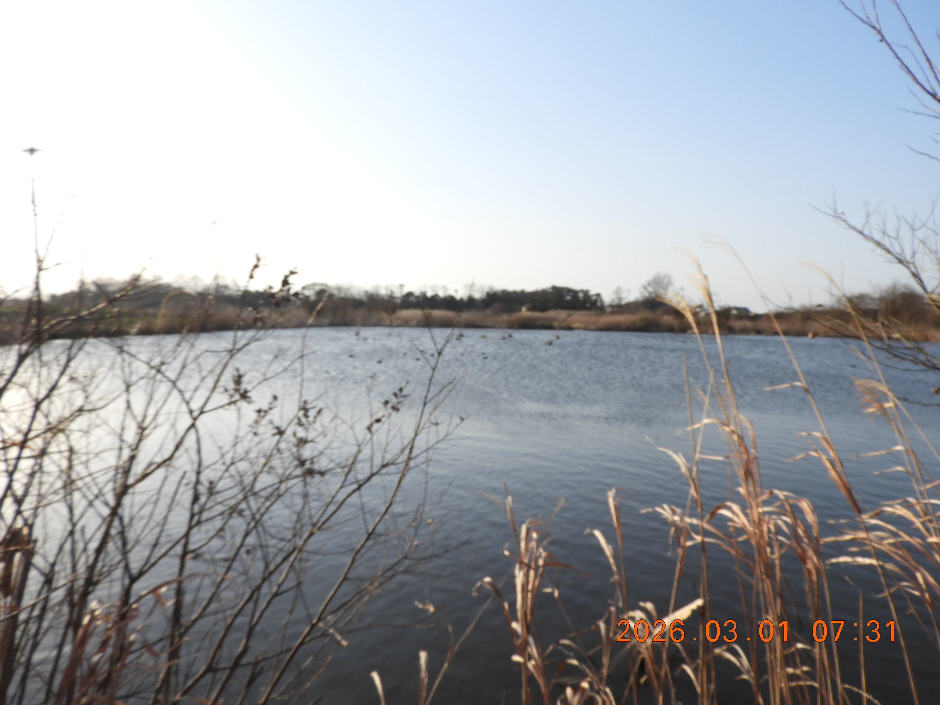 DSCN2051.JPG
