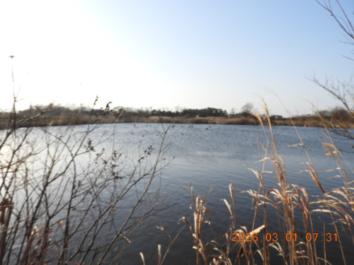 DSCN2051.JPG