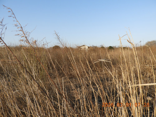 DSCN2049.JPG