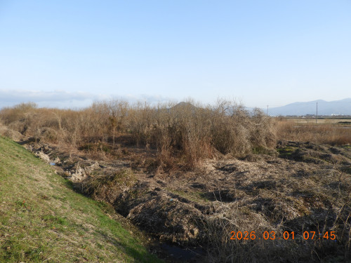DSCN2059.JPG