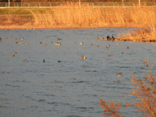 DSCN2567.JPG