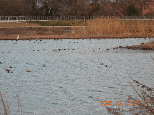 DSCN2734.JPG