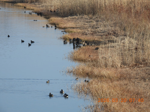 DSCN2974.JPG