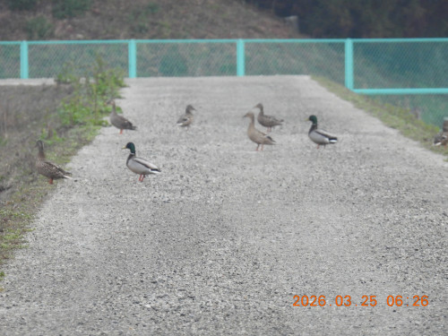 DSCN3000.JPG