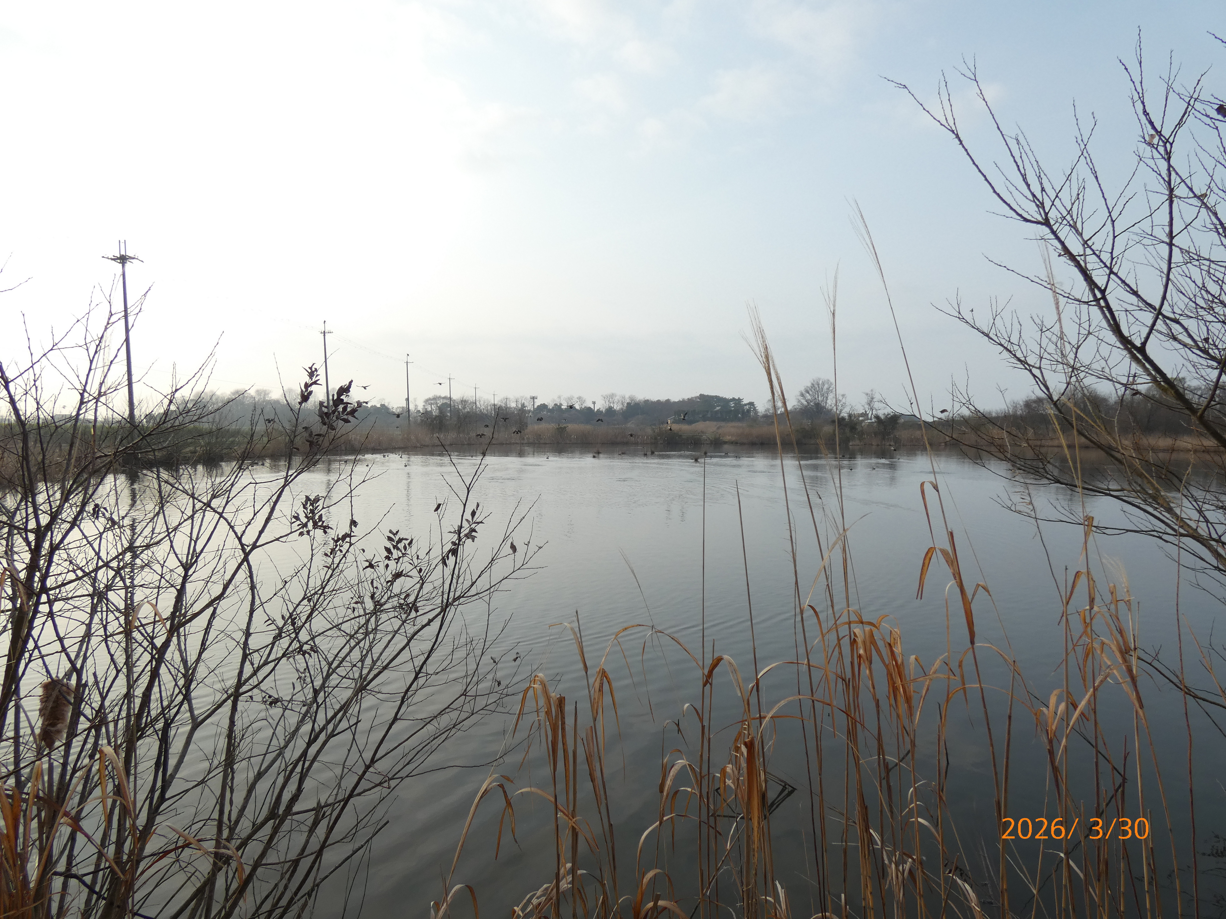 P1040034.JPG